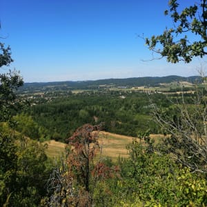 Chemin de l'eau et Bois de Caudeval - Guitalens-l'Albarède - 8