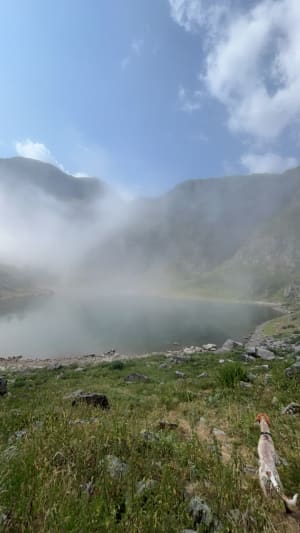 Prachtige wandeling naar het Ermeer in de Ossauvallei - Laruns - 14
