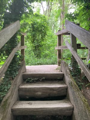 Wandel tussen de twee bruggen van de Deûle in Houplin-Ancoisne - Houplin-Ancoisne - 3