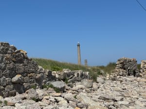 Balade de bord de mer de Barfleur à Gattevile-Phare - Barfleur - 15