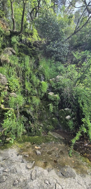 Balade sur les hauts de Fontcaude - Juvignac - 3