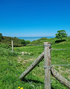 De Fécamp à Étretat par la côte - Fécamp - 8
