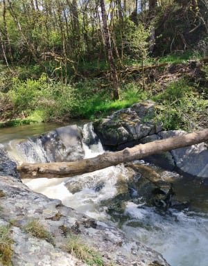 Le Pont romain de Saint-Sylvestre, en GR depuis Plats - Plats - 9