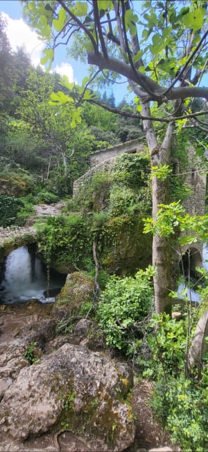 Randonnée aux Moulins de la Foux - Saint-Maurice-Navacelles - 8