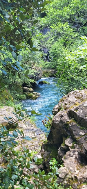 Randonnée aux Moulins de la Foux - Saint-Maurice-Navacelles - 10