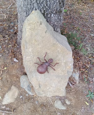 Chemin des cabanes - Cournanel - 13