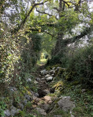Tour de Balaguère et nature épatante - SANDRINE - 8