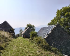 Tour de Balaguère et nature épatante - SANDRINE - 10