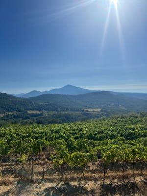 Balade au Mont St-Amand - Suzette - 24