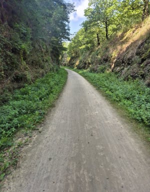 Voie verte Passa Païs et virée sauvage en Haut-Languedoc - PATRICK - 5