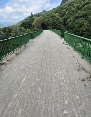 Voie verte Passa Païs et virée sauvage en Haut-Languedoc - PATRICK - 6