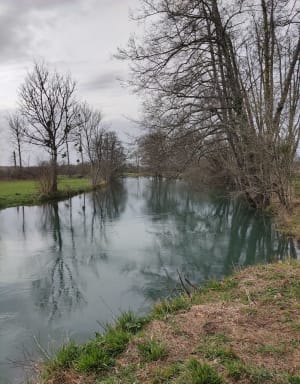 Balade printanière à Noiron-sur-Bèze le long de la rivière - Maryse - 3