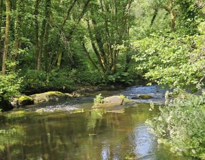 Pont-Aven, bois d'amour et chapelle de Tremalo - Pont-Aven - 17