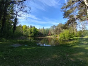 Saint-Avertin et bois des Hâtes - Saint-Avertin - 2