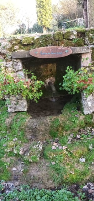 Promenade dans Chavroches - Chavroches - 7