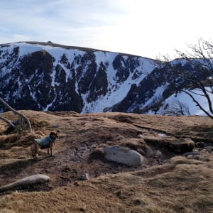 Ascension de l'Hohneck et escapade dans les Vosges - Xonrupt-Longemer - 8