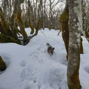 Ascension de l'Hohneck et escapade dans les Vosges - Xonrupt-Longemer - 9