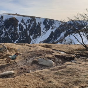 Ascension de l'Hohneck et escapade dans les Vosges - Xonrupt-Longemer - 10