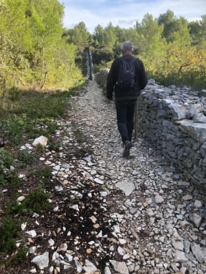 Lagnes, le Luberon le long du Mur de la Peste - Lagnes - 17