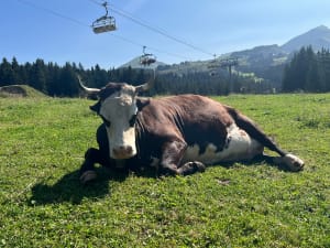 Mines de la Lapiaz, Lil'Stash et Ferme de Séraussaix - Morzine - 20