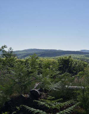 Randonnée au Saut de Gouloux et boucle dans les Bois de la Faye - Gouloux - 13