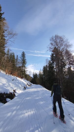 Randonnée boisée et gelée au Danay - Saint-Jean-de-Sixt - 4