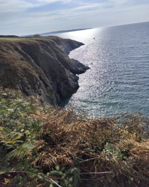 Escapade côtière à la Pointe de Tréfeuntec - Plonévez-Porzay - 2