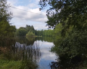 Etang et prairies au Plateau des Grilloux - Servance-Miellin - 14