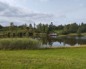 Etang et prairies au Plateau des Grilloux - Servance-Miellin - 16