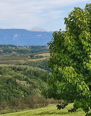 Tour de Saint-Michel-sur-Savasse - Saint-Michel-sur-Savasse - 7