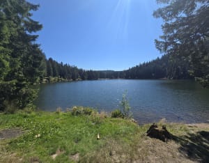 Lac vert et Tanet - Soultzeren - 8