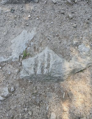 Lac vert et Tanet - Soultzeren - 11