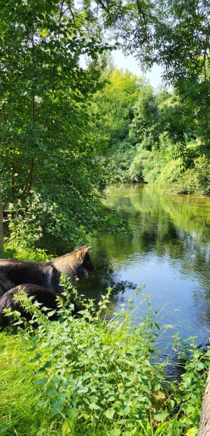 Entre terre et eau au Château de Saussay - Ballancourt-sur-Essonne - 16