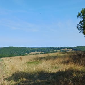 Sentier du granite à Bréel - gautier - 5