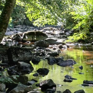 Sentier du granite à Bréel - gautier - 6