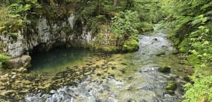 Découverte de la Bienne par Doye Gabet - Hauts-de-Bienne - 15