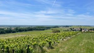 Circuit du Loroux via Les Moulins et Le Pont de l'Ouen - Le Loroux-Bottereau - 2