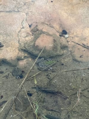Collias en een verkwikkende vakantie in de Gardon-kloven - Collias - 73