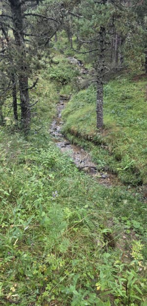 Egat - Font-Romeu - 3