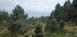 Egat - Font-Romeu - 5