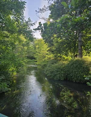 Rivières de l'Essonne et zénitude au fil l'eau - joana - 2