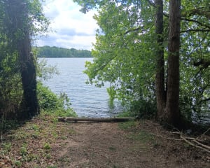 Les trois lacs de Val-de-Reuil et évasion en nature - Mathilde - 3
