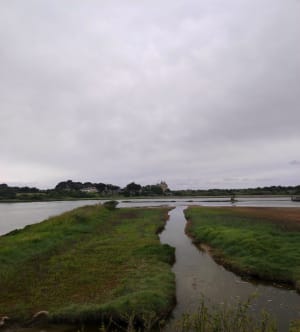Balade à Suscinio - Sarzeau - 3