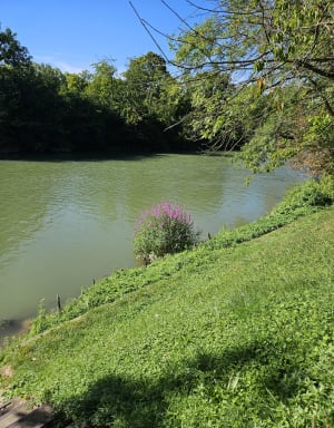 Balade en bord de Marne à partir du pont de Chennevières - Saint-Maur-des-Fossés - 6