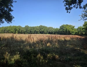 Balade autour de Landevieille - Delphine - 2
