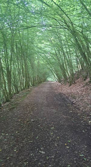 Le Circuit du Canal - David - 2