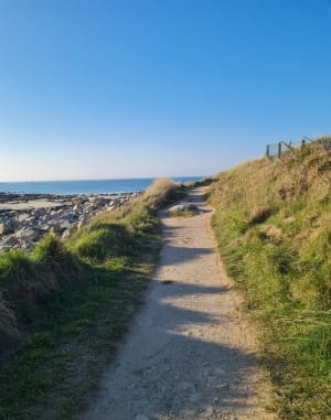 Wandeling in Landrellec - Landrellec - 23