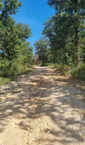 Entre nature et patrimoine autour d'Aubussargues - Aubussargues - 12