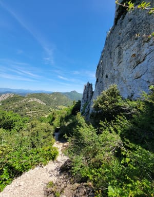 Les dentelles à Gigondas - mathilde - 16