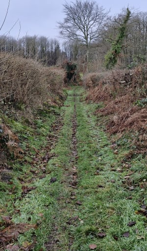 Boucle du bois du Pontif - Coquainvilliers - 6